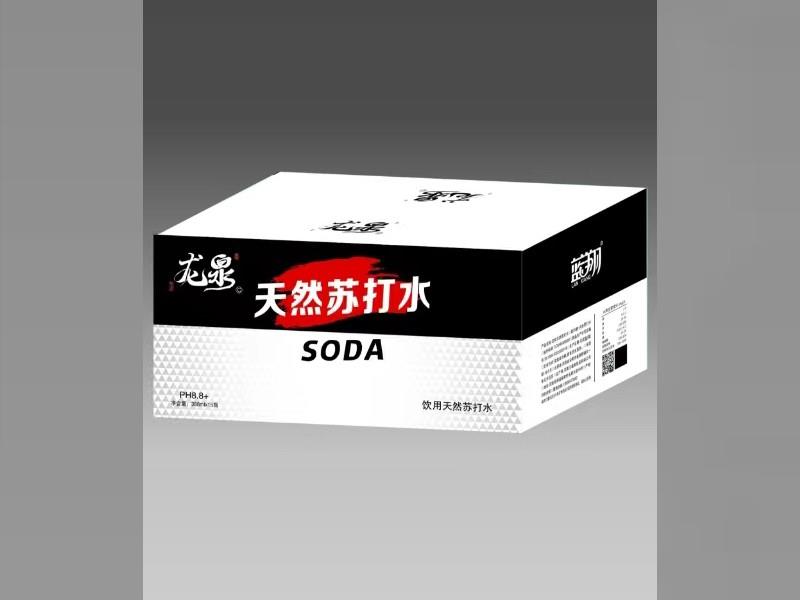 藍翔龍泉飲用天然蘇打水